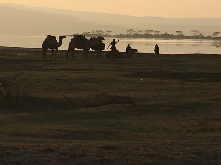 A line of camels and handlers silhouetted against a hazy gold sky on a flat lake shore at dusk