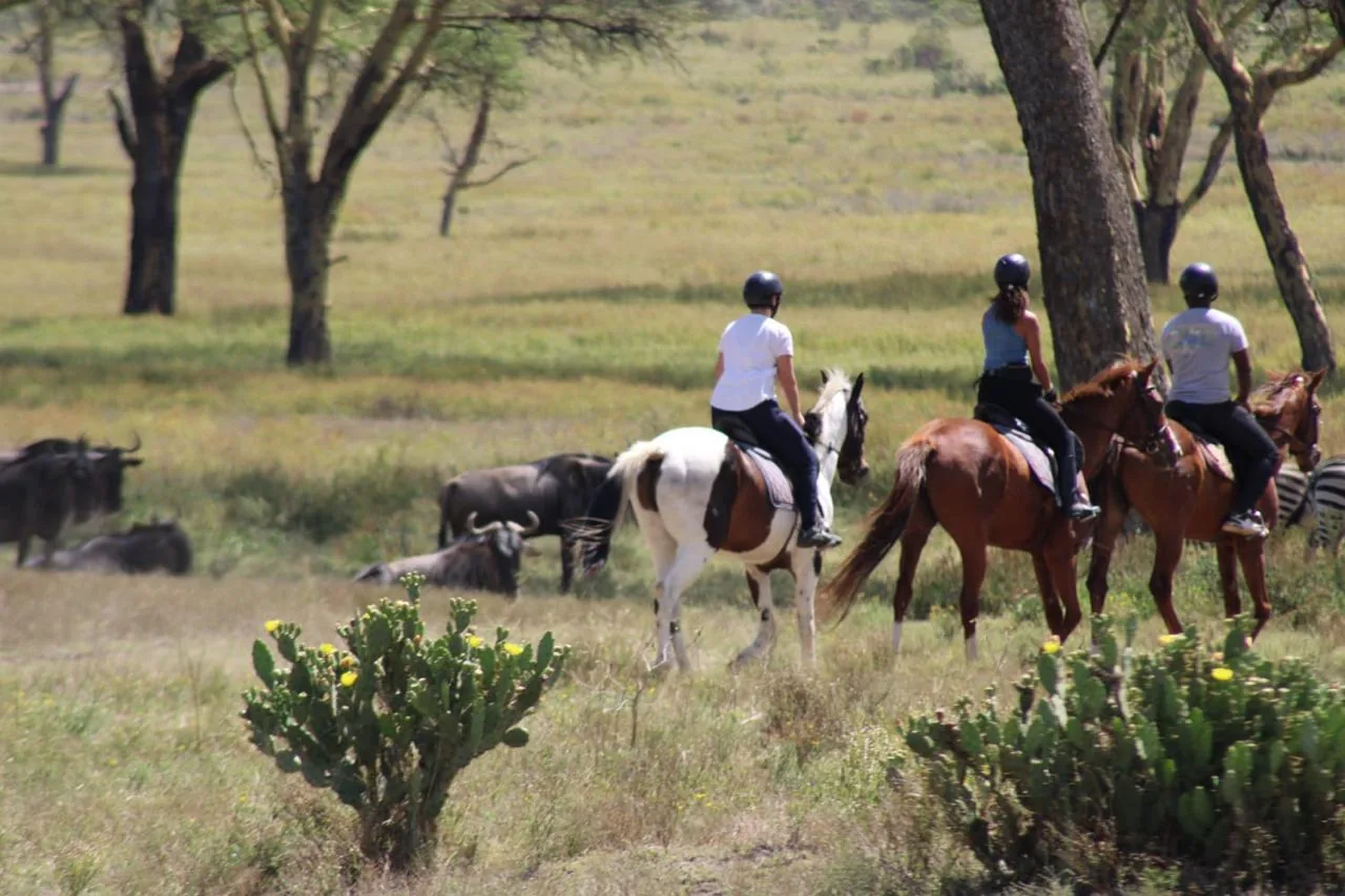 Three helmeted riders walk their horses past grazing wildebeest and zebra through flowering cactus and long grass