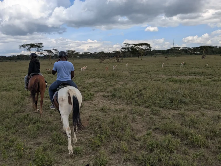 Two riders seen from behind ride toward a scattered herd of Grant's gazelle across a wide green plain under big clouds