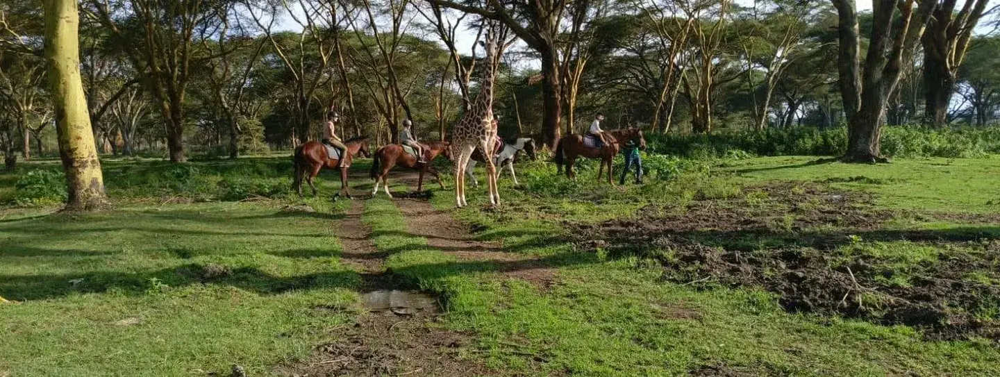 Four riders on horseback pause among tall yellow fever trees as a giraffe walks calmly between them