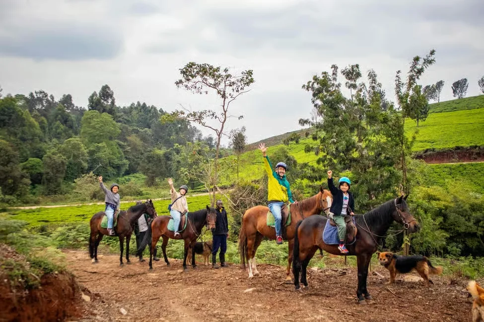 A group of riders on a red-earth track wave from the saddle, tea bushes and eucalyptus covering the hills behind