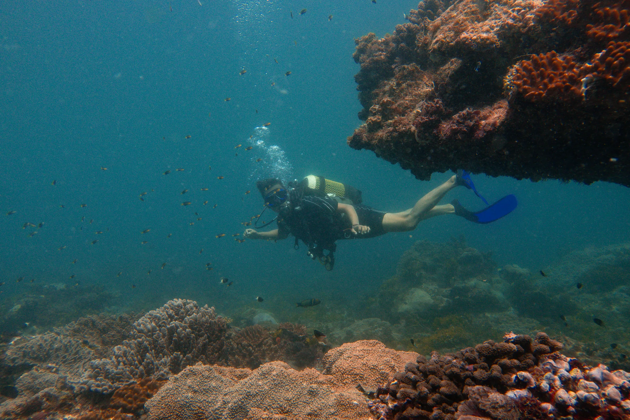 Two divers swim through open water beneath a dark overhanging coral arch