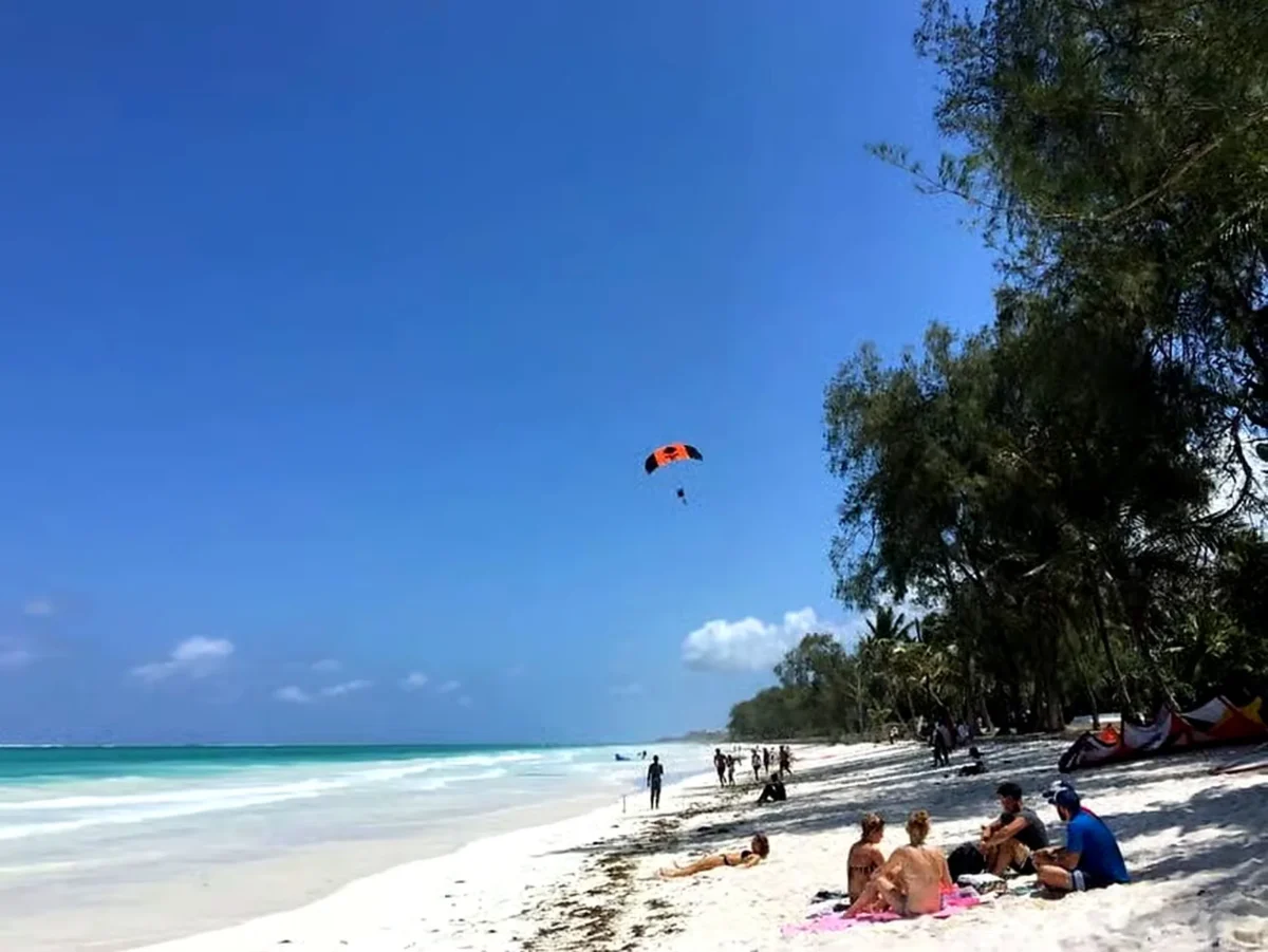 An orange and black parachute canopy drifts above a long white sand beach and turquoise shallows lined with casuarina trees